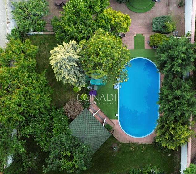 Exclusivitate / Iancu Nicolae-Pipera, vila cu piscina, langa padure