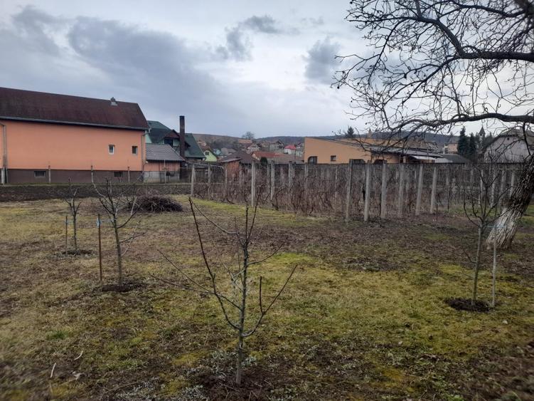 De vanzare 2 case pe teren de1561mp