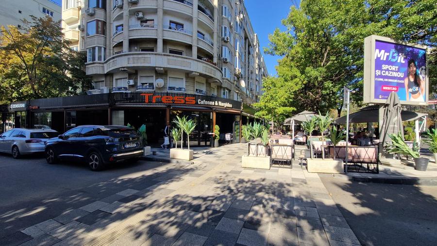 DECEBAL-- Alba Iulia 230 mp -PRET 5.000 EURO