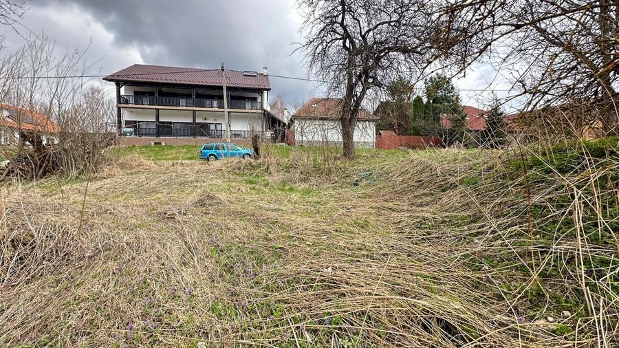 De vanzare teren in Brebu Nou  2877 mp