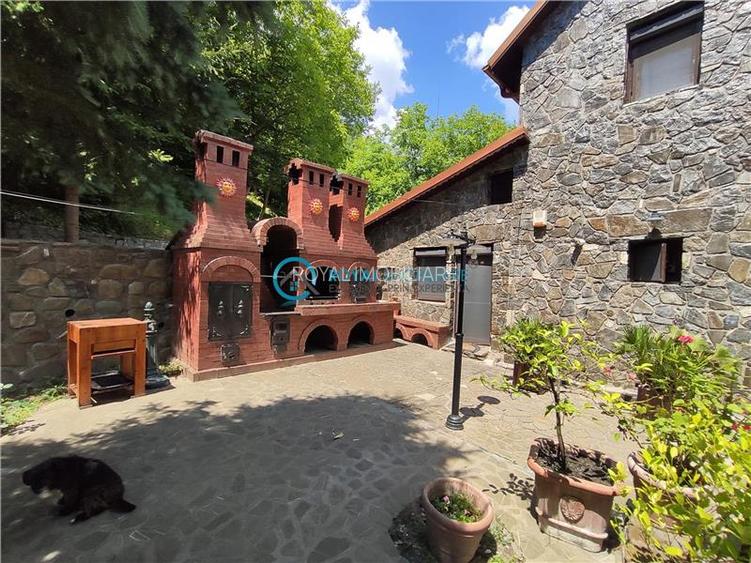 Royal Imobiliare -vanzare vila/ casa de vacanta zona CAMPINA - 34