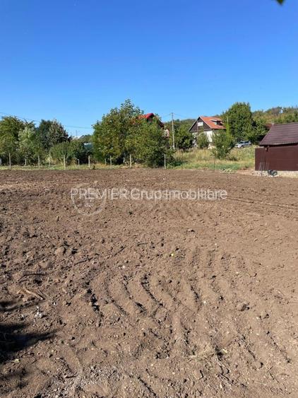 Teren, Chicerea-Tomesti, 451mp, intravilan - 10