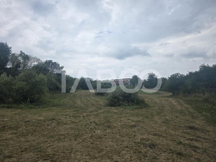 Teren de vanzare 8700 mp cu un front de 30m in Sura Mare - 6