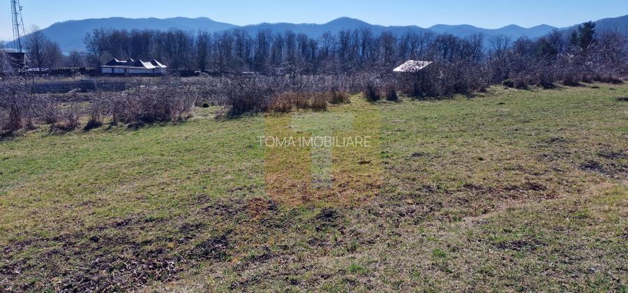 Teren intravilan de 4.000 mp în Bistrița – Alexandru cel Bun - 19