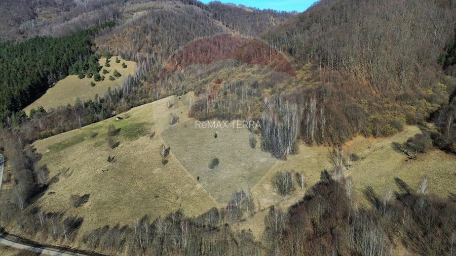 BARAJ RUNCU TEREN DE VANZARE sau schimb cu apartament Baia Mare - 11