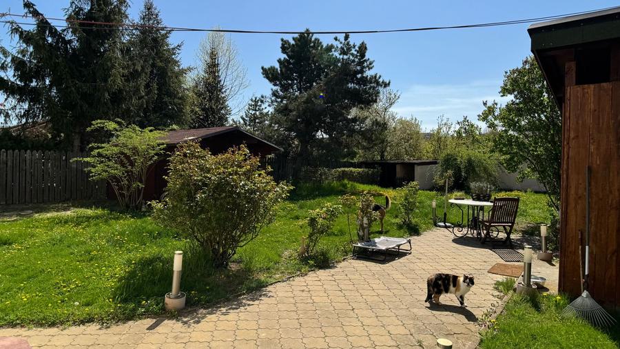 Vila Școala Americană