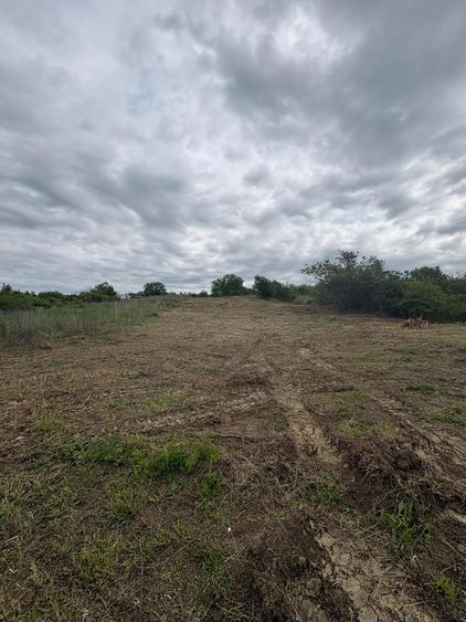 Teren Intravilat 15 ari Livada Meses ptr constructii 127.500eur
