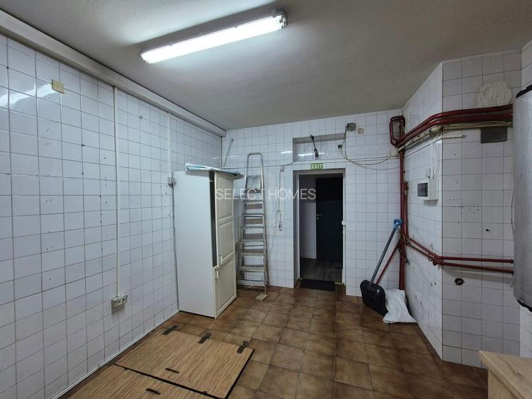 Vila Individuala cu 9 Camere de Inchiriat *Dorobanti* - 26