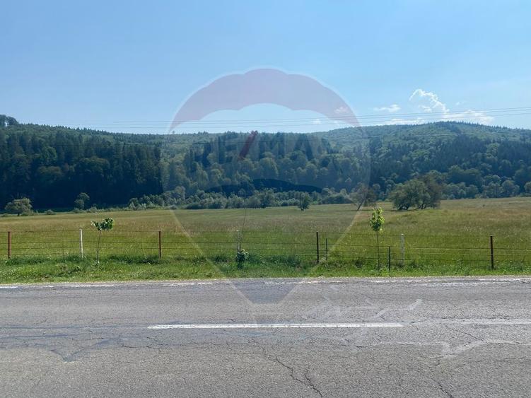 Teren Extravilan 3866 mp in Vama Buzaului la Strada Principala