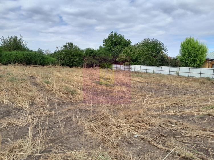 MOVILITA (IL) - SE INCHIRIAZA TEREN LANGA PROFI CU 0.5 EUR/MP/LUNA