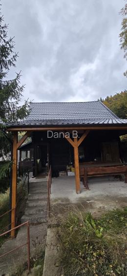 REDUSA: CABANA la munte, intabulata, renovata, mobilata, centrala si soba noi