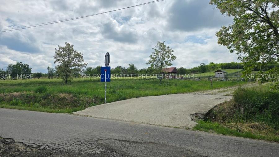 Teren intravilan Ardud Vii Satu Mare - 2
