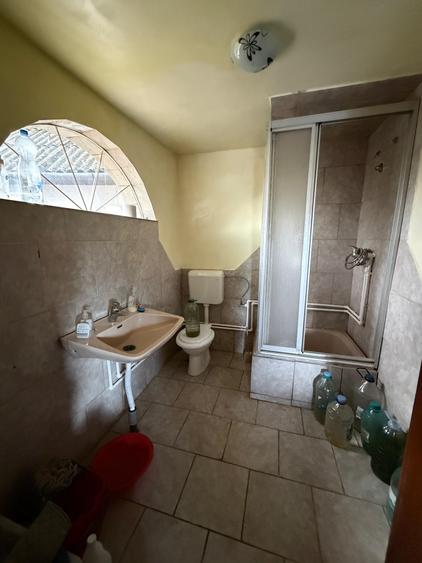 CASĂ DE VACANȚĂ ÎN GRADINA VIILOR CAREI CU 1.924 MP TEREN FRONT 15M