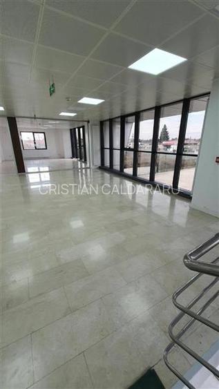 Inchiriere depozit/hala/spatiu industrial/showroom Afumati - Doraly - DN2, ILFOV - 24