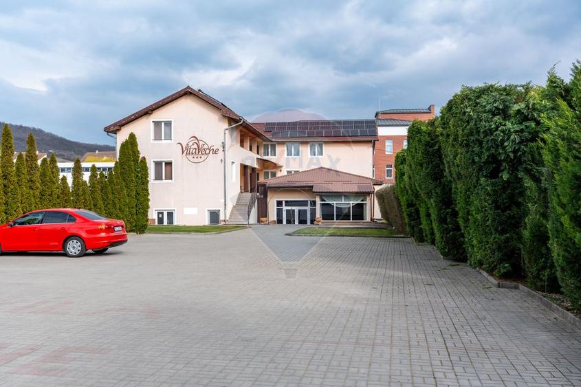 Hotel / Pensiune in Hateg, Jud Hunedoara