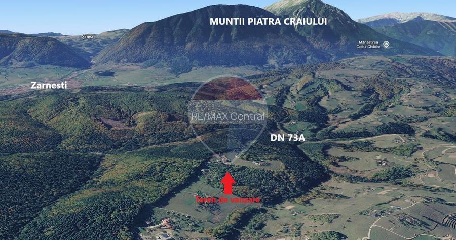 Teren extravilan Poiana Marului 7083mp, inconjurat de padure - 10