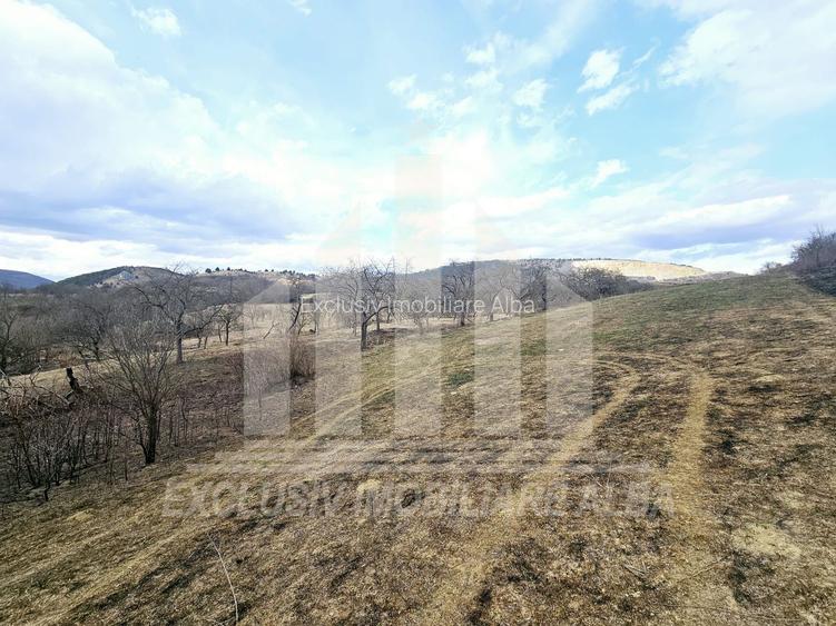 Teren intravilan | De vanzare | 12211 mp | Geogiu de Sus - 5