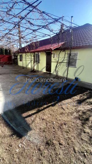 Casa individuala 4 camere 124 mp,4000 mp teren zona Cuzaplac - 13