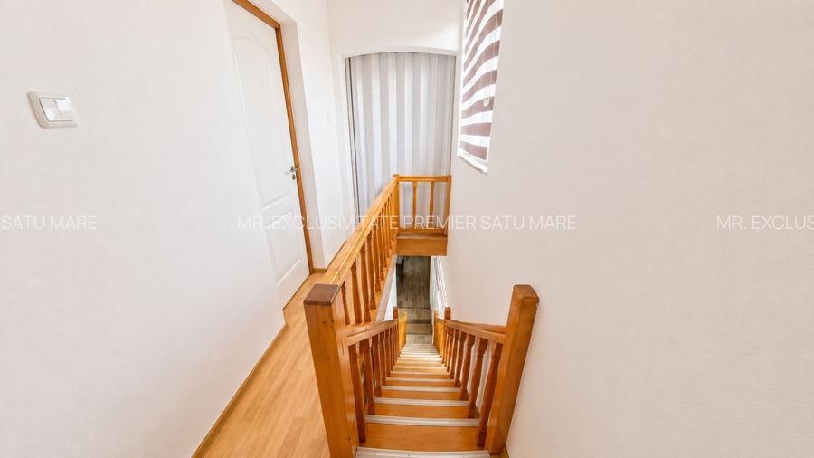 Afacere funcțională - Sală de Evenimente–Motel – Loc. Valea lui Mihai - 21