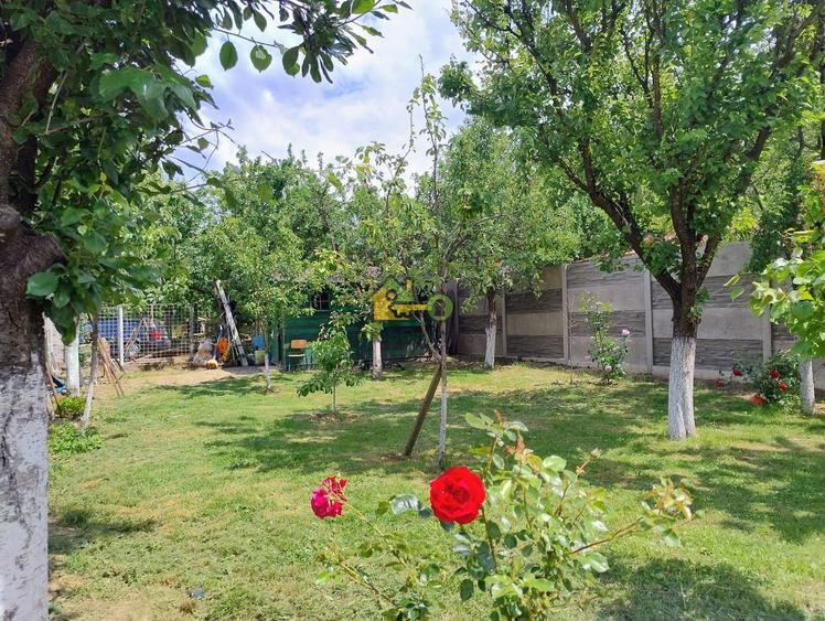 Vilă Premium cu Piscină în Șag – Mutare Imediată, la Cheie