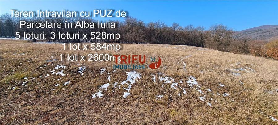 Teren Intravilan cu PUZ de Parcelare în Alba Iulia