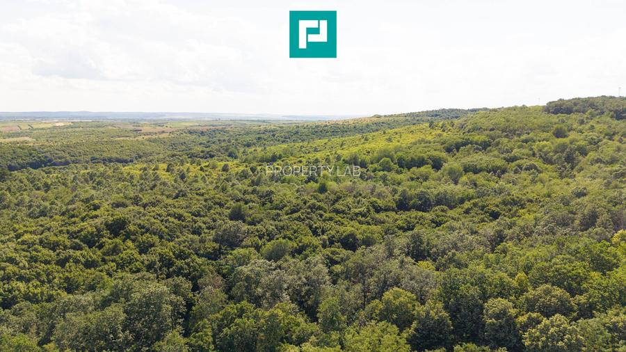 TEREN AGRICOL EXTRAVILAN  22.900 MP LIPOVA - 4