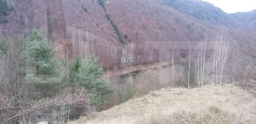 Teren 14 ha compact langa Lacul Tau Bistra - 2