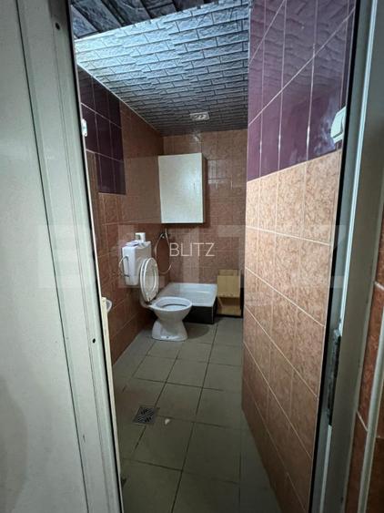 Spațiu comercial, 260 mp utili, zona Central - 18