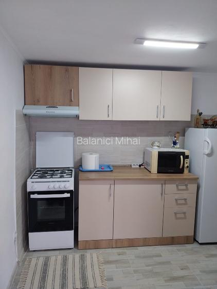 Casă de vânzare + terenul aferent  - 8