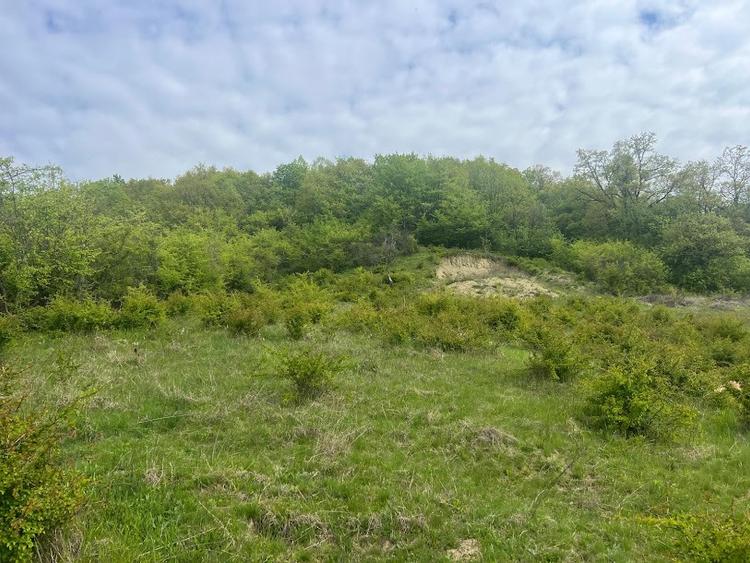 Teren intravilan Corunca – 1000 mp – vedere panoramică 180° + acces pădure – ult