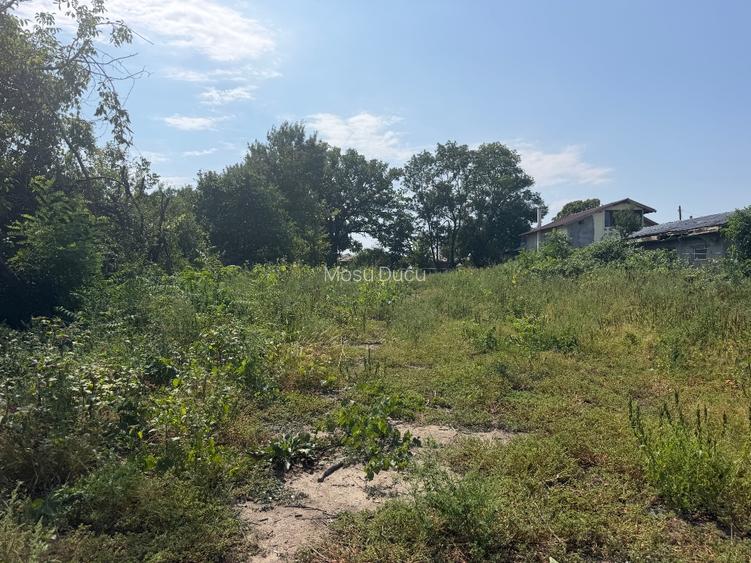 TEREN INTRAVILAN DE VÂNZARE – CĂLUGĂRENI, GIURGIU | 2.418 MP | DESCHIDERE 24 M - 9