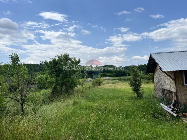 Teren intravilan 8.774 mp cu deschidere la pădure / Măres, Albota - 5