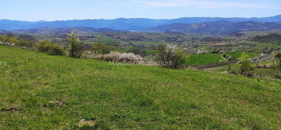 Casă în locație exclusivă, cu vedere spectaculoasă la Dunăre și 6 hectare  - 11