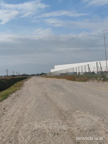 Vanzare Teren 7700 mp in Bolintin Deal - Zona Industriala