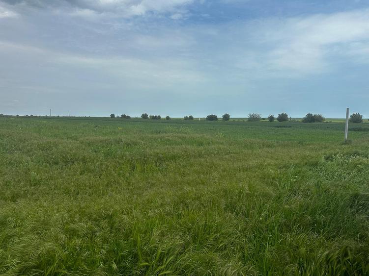 Constanta - Tuzla - teren intravilan 1000mp
