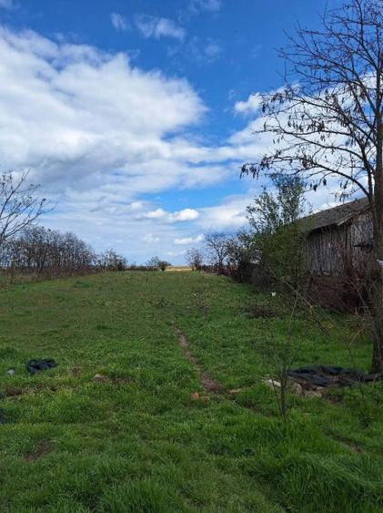 Casa renovabila, 2504 mp teren, Secui Dolj 13 km de oras