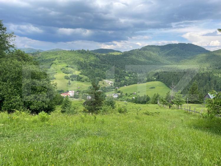 Teren extravilan de vanzare, 2 ha - Campulung Moldovenesc, zona Sandru