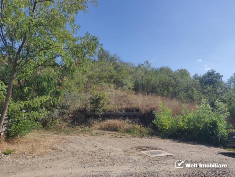 Investitie! Teren 1,55 ha, front stradal 50 ml, zona Oasului