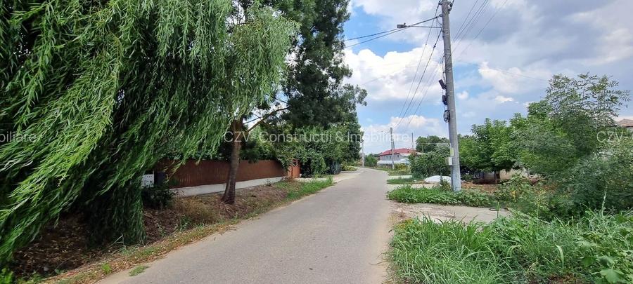 Casa cu vie, livadă și timp pentru tine - 36