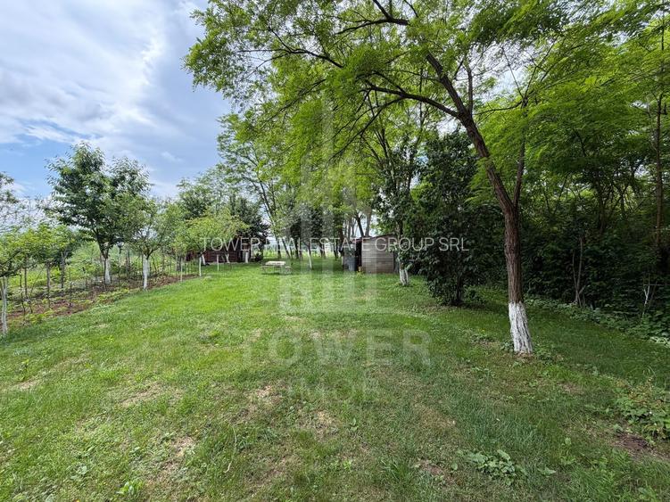 OCAZIE RARĂ - Teren cu cabană de vânzare lângă Lacurile Naturale - Ocna Sibiului - 10