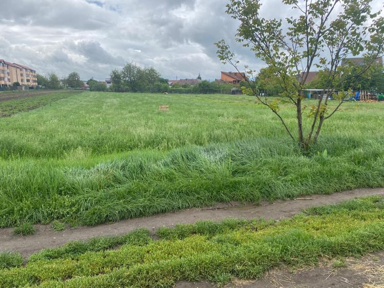 Teren intravilan in mun Sibiu, 500 mp, pretabil constructie casa individuala.