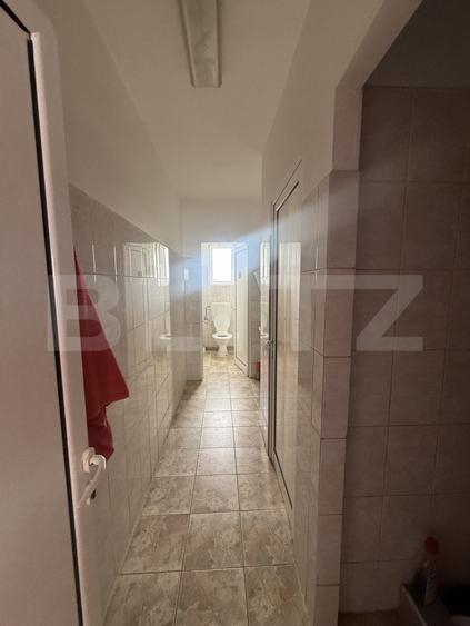 Hale Industriale + Showroom + Birouri - Acces TIR, 1120 mp, zona Găești