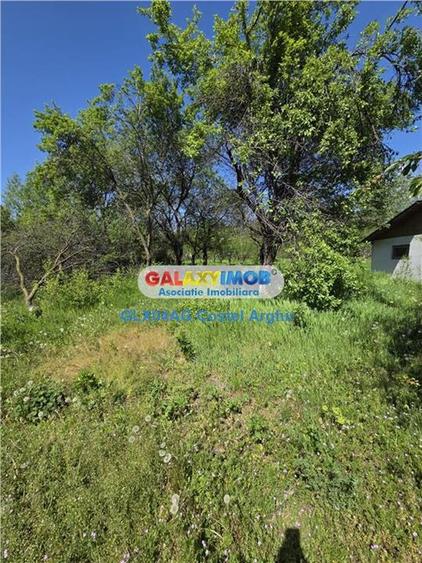 Vindem teren intravilan 3600 mp Calinesti , deschidere 58 m