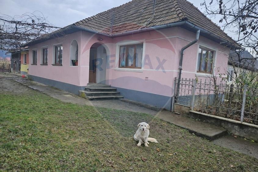 Casă / Vilă cu 5 camere de vânzare, Sarasau