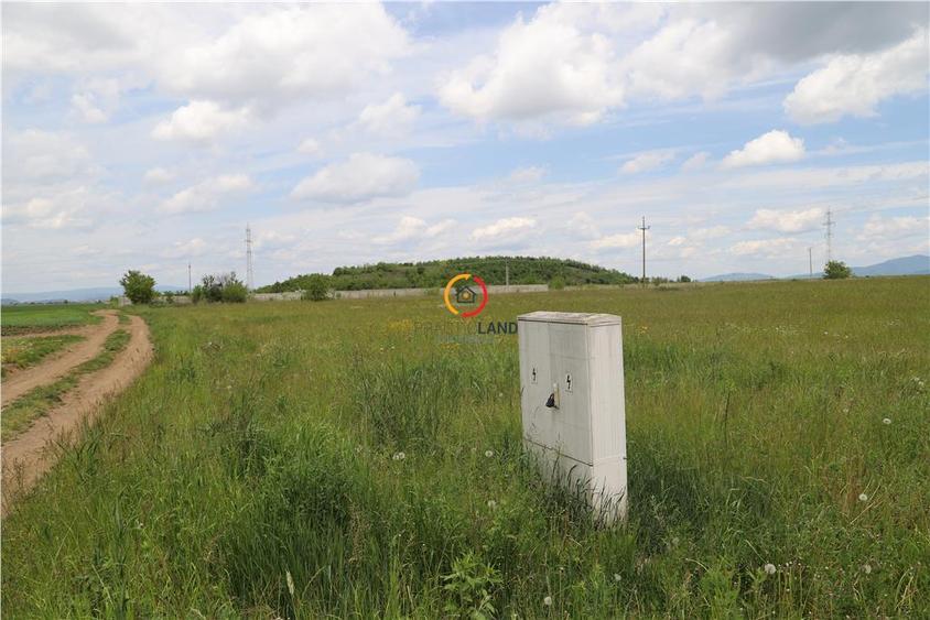 Teren  intravilan13100 mp pentru dezvoltare imobiliara