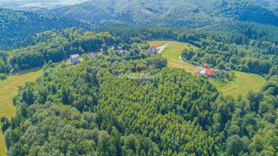 Teren extravilan Poiana Marului 7083mp, inconjurat de padure - 5