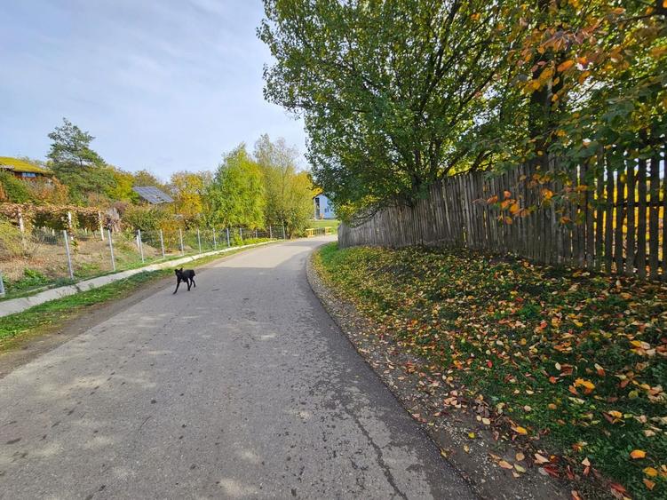 Teren intravilan 1000 mp, utilități, lângă Spital Călinești