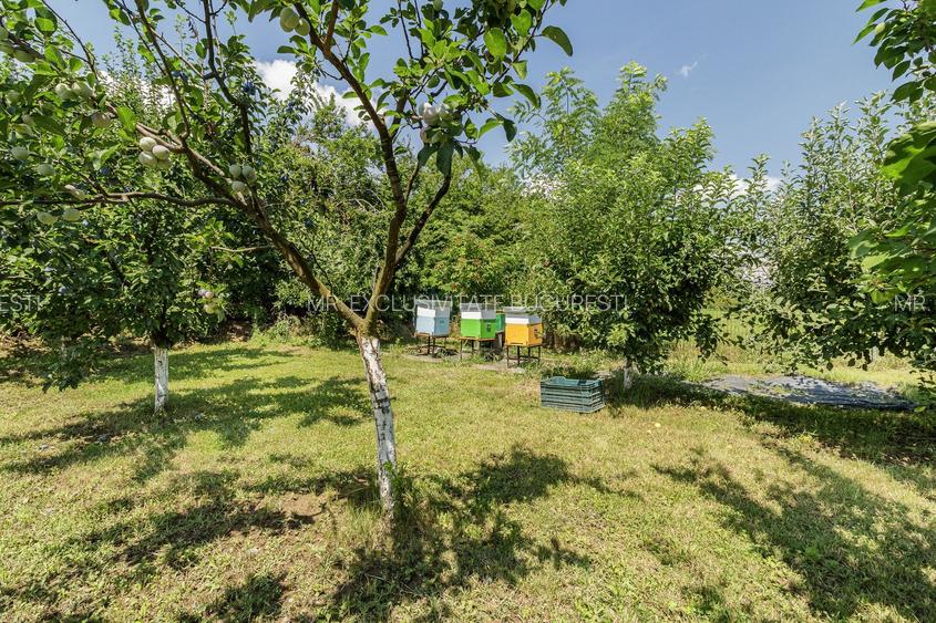 Casă de vânzare Tâncăbești cu grădină, aproape de lac - 27
