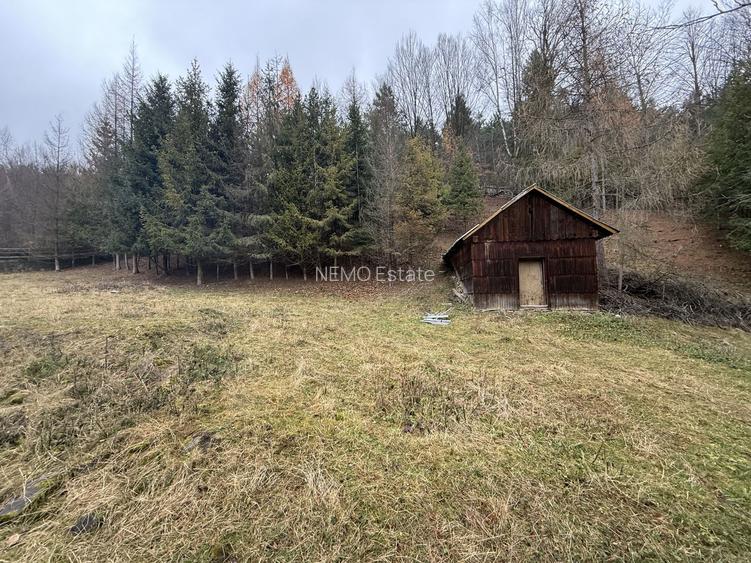 Casa Sucevița | 4.000 mp teren | Zonă liniștită - 17
