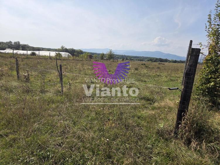 Teren extravilan 1500 mp Selimbar-langa troita - 3